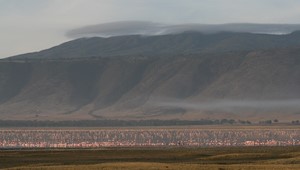 Serengeti Ndutu Plains 5.jpg