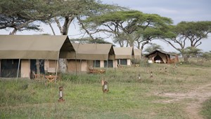 Serengeti Ndutu Plains 6.jpg